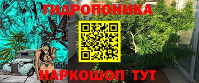 спайс Славгород